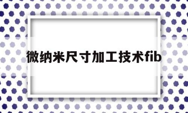 微纳米尺寸加工技术fib