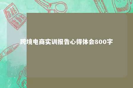 跨境电商实训报告心得体会800字